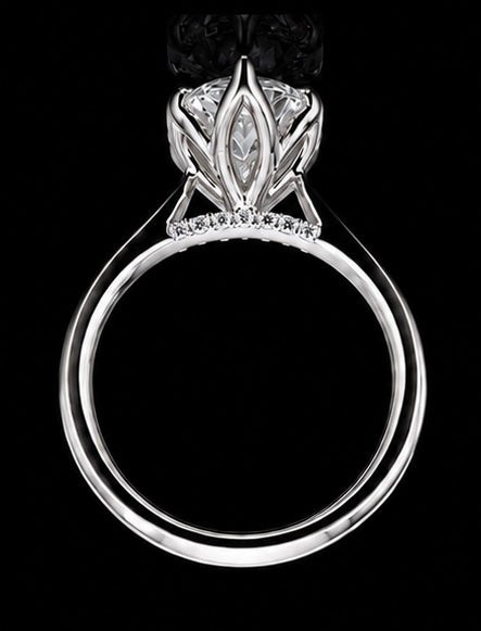 Marquise Carla