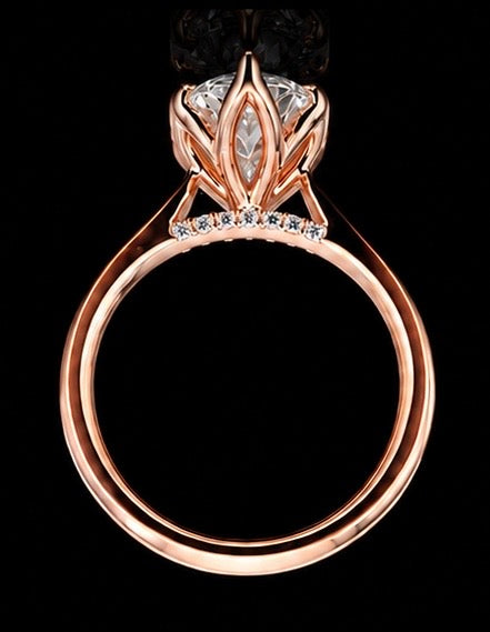 Marquise Carla