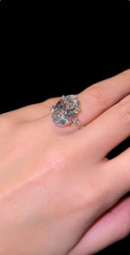 Krista’s Halo - Jewels of Toronto