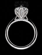 Marquise Carla - Jewels of Toronto