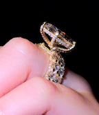 Marquise Queen Set - Jewels of Toronto