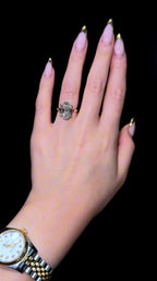 Oval Hidden Halo - Jewels of Toronto