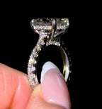 Oval Pavé Cathedral - Jewels of Toronto