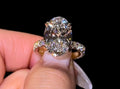 Oval Pavé Everything - Jewels of America