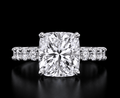Square Cushion Countess - Jewels of America